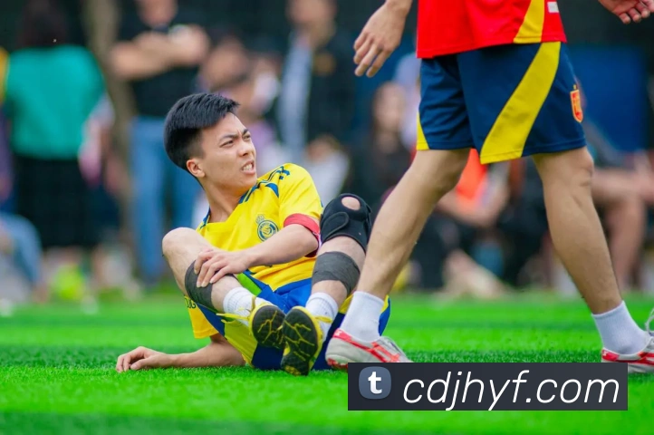 多媒体互动体验